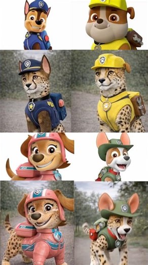 PaW PAtroL ReSCuE Song Show And Animation #shortvideo #shorts #pawpatrol #viral