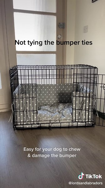 Common Mistakes to Avoid When Setting Up Your Dog Crate