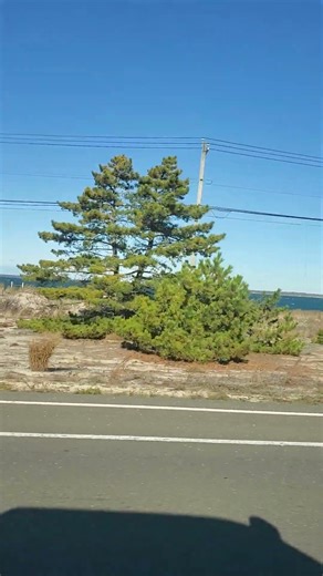 #country view #driving#hamptons ny