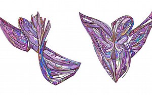 What fish is top of the food chain? [2025] | QAQooking.wiki