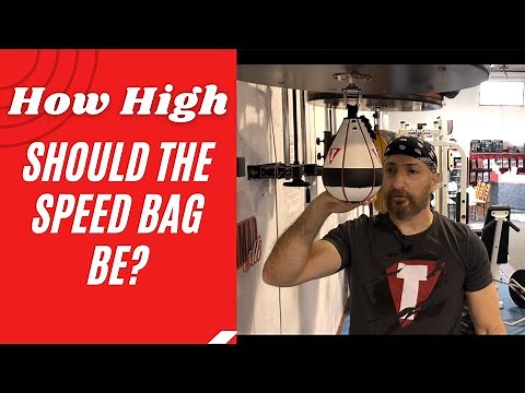 Height of the speed bag