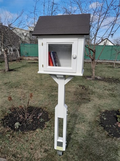 Minilibrary Near My House - Etsy