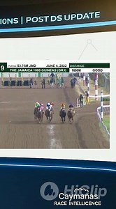 How to Read a Racing Form: Spotting Winners Before the Gates Open