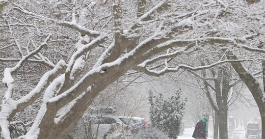 What is an Alberta Clipper? What Ontario residents should know about the snow storm hitting Ontario