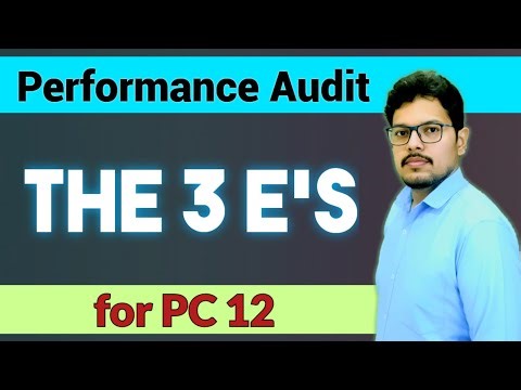 Performance Audit Explained: The 3 E's | PA Objective & Scope | SAS Exam