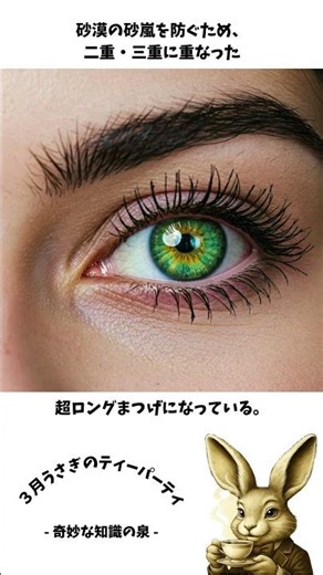 ラクダのまつげ、実は“最強の盾”だった #雑学 #プチ知識 #動物 #特有種