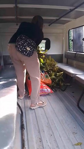 Lupong Tagapamayapa outreach program: Clean and green, beautification. Planting of colorful plants along the road going to bundok San Vicente. #LupongTagapamayapa #brgyfabrica #FabricaHighSchool #SSG #BrgyOfficials #fypシ゚ | Romil Pilleja