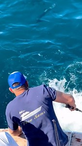 18K views · 275 reactions | ‘The aquarium!’ - @cardrok Name: Captain Steve Fernandez AKA @cardrok Fishing out of New York, Florida and the Bahamas Vessel: 64’ Viking ‘Five Seas’ Aclassic!! #fishing #fish #fishinglife #bluewater #nature #fishingislife #angler #fisherman #fishingtrip #tuna #fishingaddict #bigfish #saltwaterfishing #fishingdaily #fishon #sea #aclassic #diehard #diehardfisho | Aclassic | Facebook