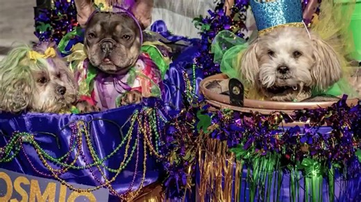 Stone Mountain Village celebrates Mardi Gras
