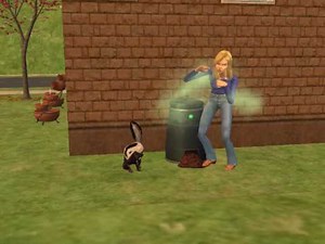 Sims 2 - The Sim and the Skunk