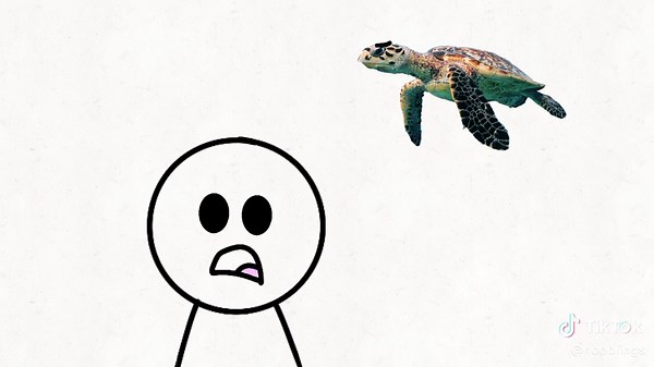 A Música do Canudinho: Memes e Animações Engraçadas