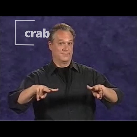 Ready Set Sign on Instagram‎: "ASL Crab To sign “crab,” extended from your fist, open and close your index and middle fingers of each hand into pinchers, palms facing down. Open and close your fingers like crab claw pinchers, keeping your movements small and rhythmic. (Technical) Both hands in modified “H” handshapes, fingers opening and closing at the sides of the body to depict claws. Video description: A crab on the sand displays its claws. Then Daniel explains and demonstrates the sign “crab
