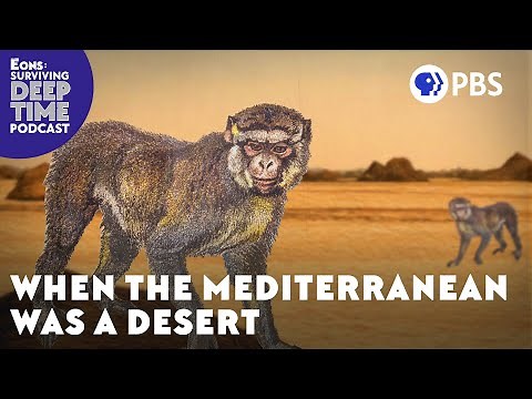 Could You Survive The Messinian Salinity Crisis?