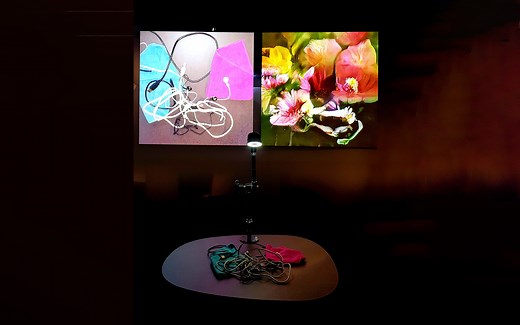 Learning to See Series (2017-)