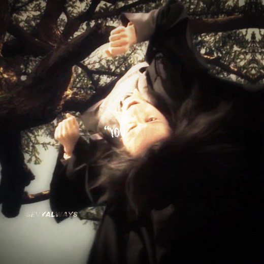 Severus Snape Funny Edit Compilation