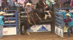 Australia’s top rodeo riders start ABCRA NFR competition - NBN News