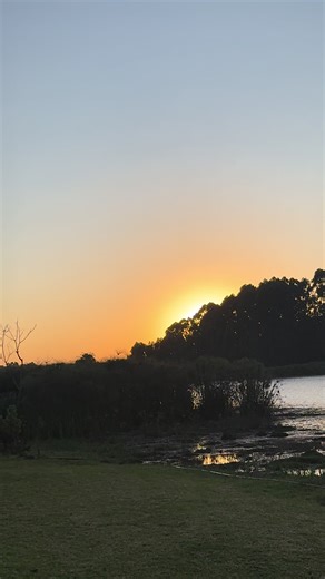 Gorilla Insights: Strength and Fitness Lessons