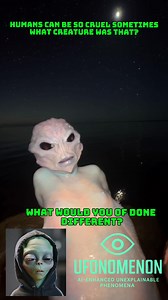 182K views · 1.9K reactions | Close up footage of a mermaid creature? Must see! #mermaid #siren #horror #scary | Ufonomenon | Facebook