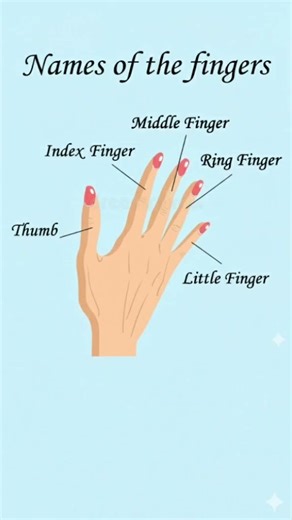 Name of the Fingers #shorts #education