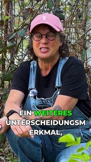 Identifying old and new blackberry trails: Here's how!