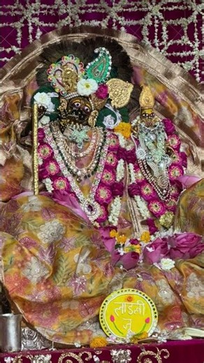 🌸 Radha Rani Live Darshan Today | Barsana Darshan Live | Radhe Radhe