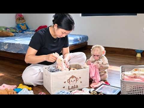 Baby Monkey and Mom try to forget the pain by packing away lala's memories!