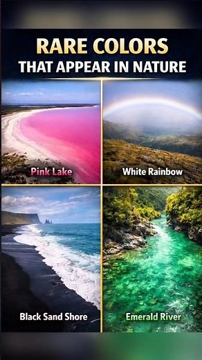 Unusual Colors Found in Nature #shorts #NatureColors #edit