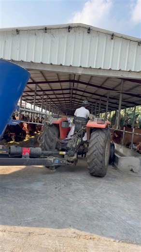 Provides food service using modern technology.#farming #feeding