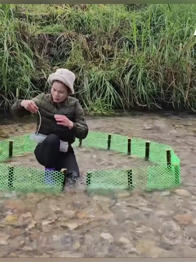 DIY Fish Trap Using Plastic Netting for Effective Fishing