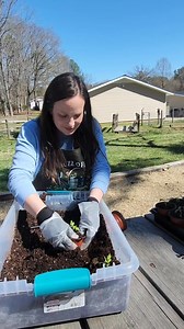I'm always doing something like this 🤣 #gardening #seedlings #uppotting #zone8a #nakedgardener | Naked Gardener