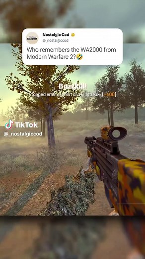 Why the Wa2000 is Iconic in Call of Duty