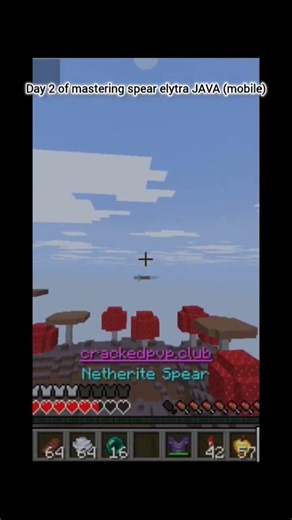 Day 2 of mastering spear elytra JAVA (mobile) 😎