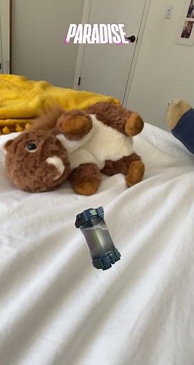 Chippy_The_Sqirrel on TikTok