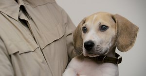 Tip #2 - How to Train Your Husband