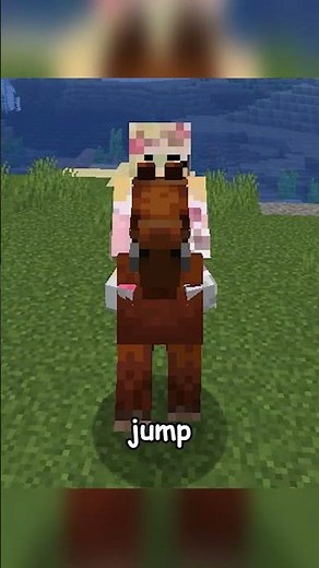 Minecraft's HORSE Statistics