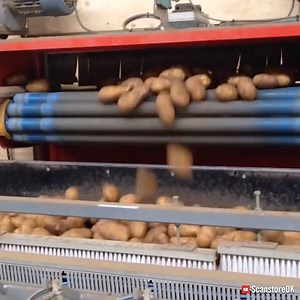 This fully automatic machine weighs and packs potatoes before palletizing them perfectly.. | Interesting Engineering