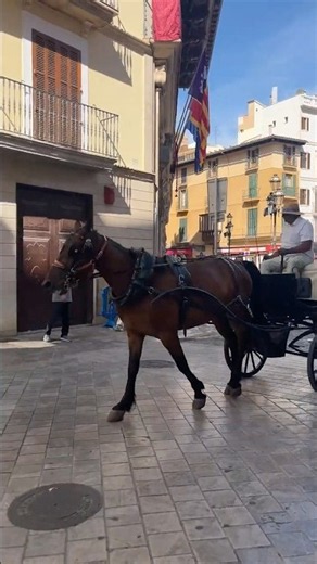 Is Palma de Mallorca Spain Worth Visiting? 🇪🇸