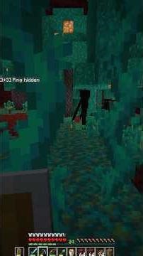 I found something CRAZY in the Nether