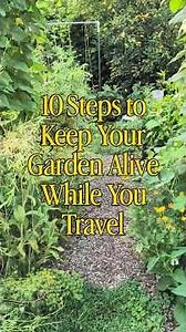 10 Steps to Keep Your Garden Alive While You Travel