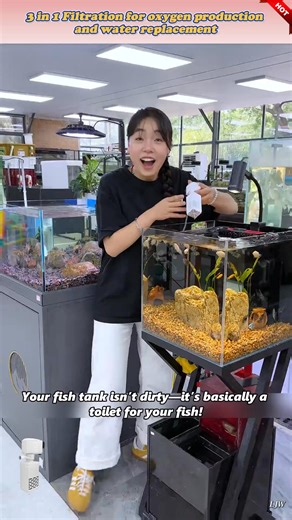 268 reactions · 25 shares |  Clean quickly, increase oxygen and keep your fish happy with our rapid filtration system.  Easy pumping and maintenance - more time enjoying, less time cleaning.  forubom.com/products/ccping | Forubom us | Facebook