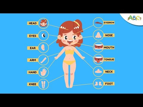 Learn Body Parts for Kids | Learning Parts of the Body for Toddlers | Preschool Learning