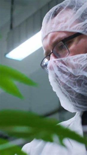Commercial LED Grow Light Comparison: Why High Grade Selected BIOS for Phase 3
