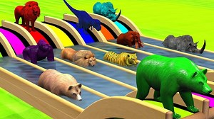 4.2K views · 92 reactions | Animals Swimming Race Outdoor Playground Videos Learn Colors Animals Names And Sound for Kids | Kids Love Food | Facebook