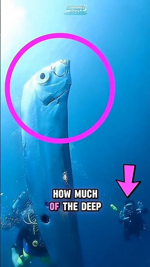 Why Is This Fish Called the Doomsday Fish?