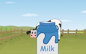 【全291集】 AumSum Time 阿木科普时间 适合小朋友观看的科普英文动画 包含生物、物理、初级科学、化学、初高级数学等