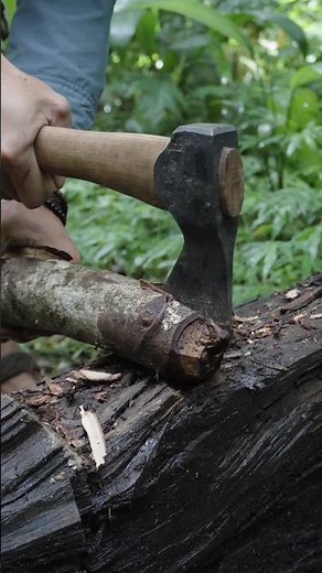 Wood cutting skills using an axe, bushcraft survival #bushcraft #survival #camping #outdoors