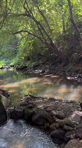 43K views · 292 reactions | Ang bangis ng Bailen! | Agribusiness | Facebook