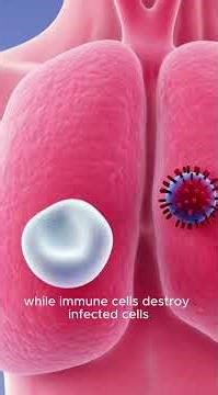 What Happens Inside Your Body When You Get the Flu? | 3D Medical Animation