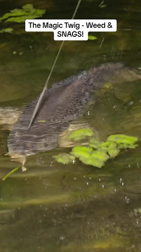 The Magic Twig for Weed & SNAGS - Design Explained!