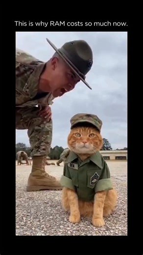 Artificial Intelligence | AI | This is why RAM costs so much now. 💾📈 AI labs are buying memory at a scale consumers never had to compete with. Massive models, nonstop... | Instagram